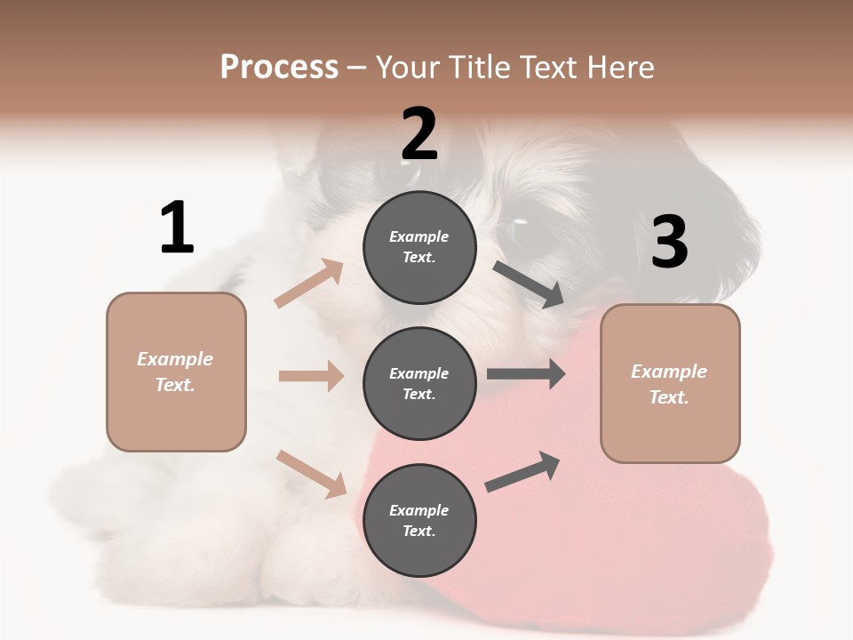 Lover Holiday Havanais PowerPoint Template