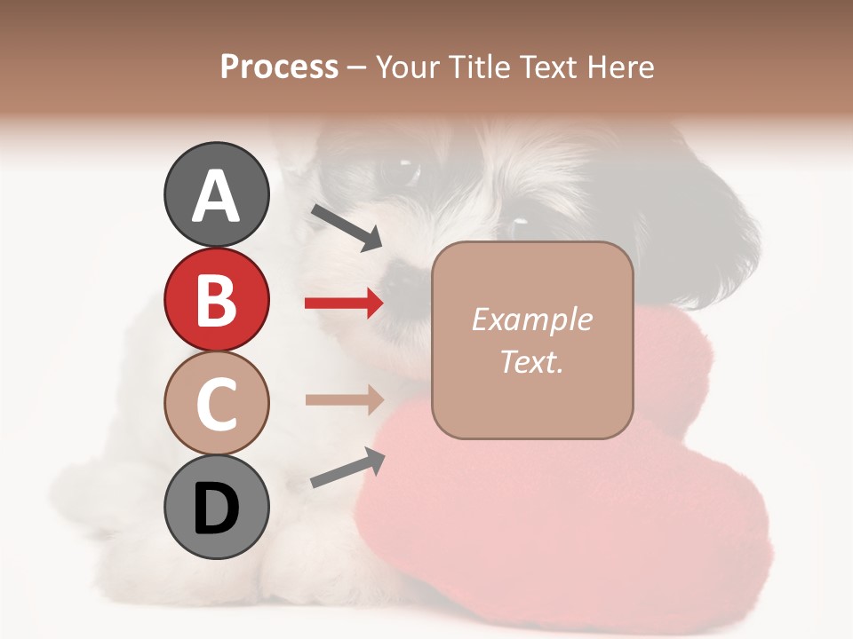 Lover Holiday Havanais PowerPoint Template