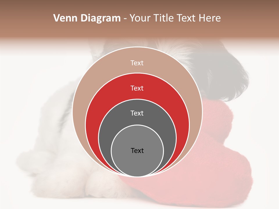 Lover Holiday Havanais PowerPoint Template