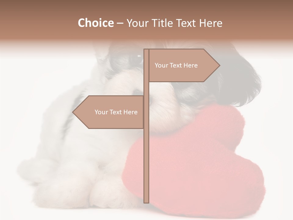 Lover Holiday Havanais PowerPoint Template