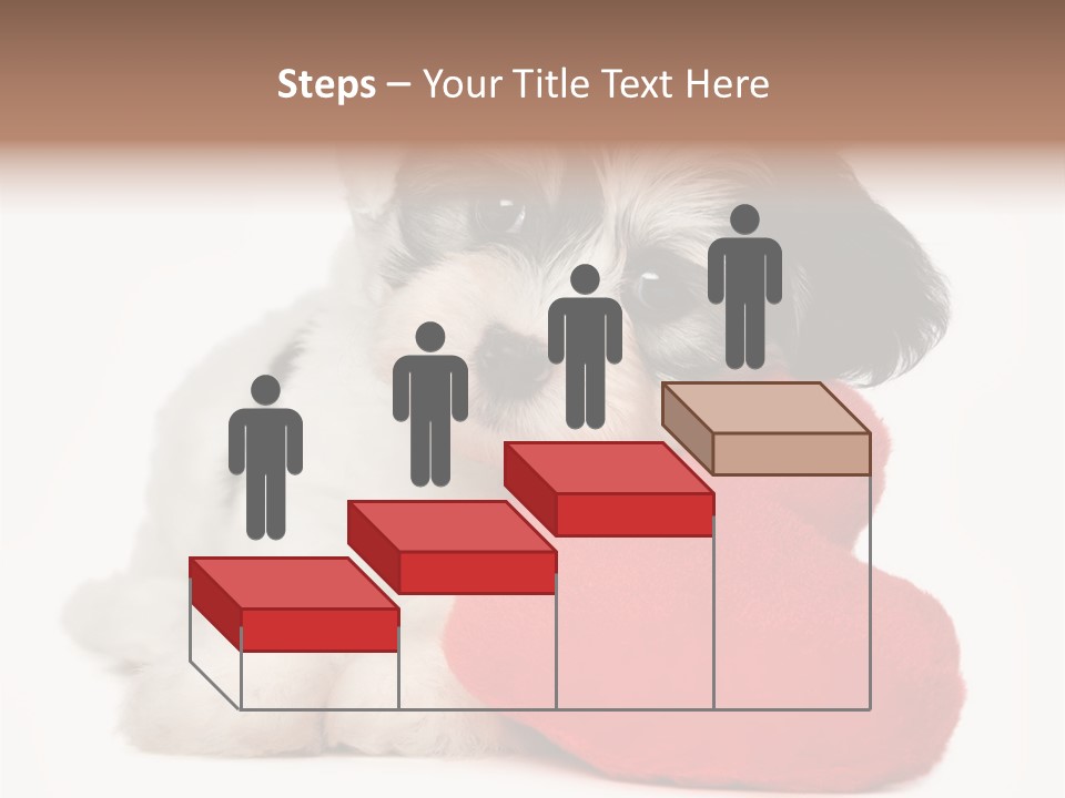 Lover Holiday Havanais PowerPoint Template