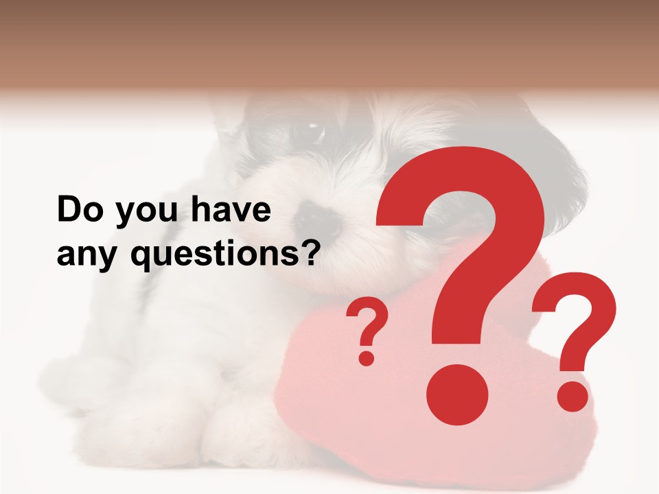 Lover Holiday Havanais PowerPoint Template