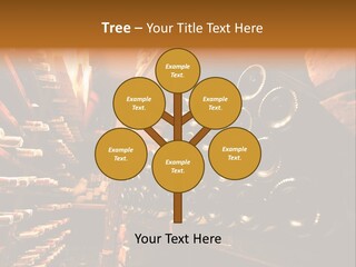 Shelf Product Retail PowerPoint Template