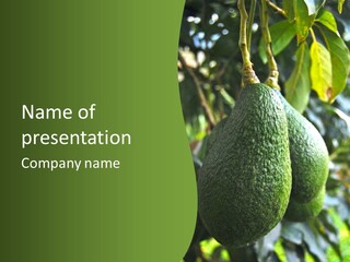 Vegetarian Diet Organic Green Alligator Pear PowerPoint Template