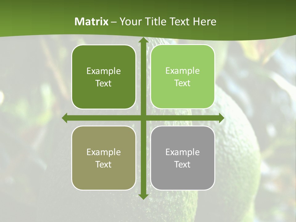 Vegetarian Diet Organic Green Alligator Pear PowerPoint Template