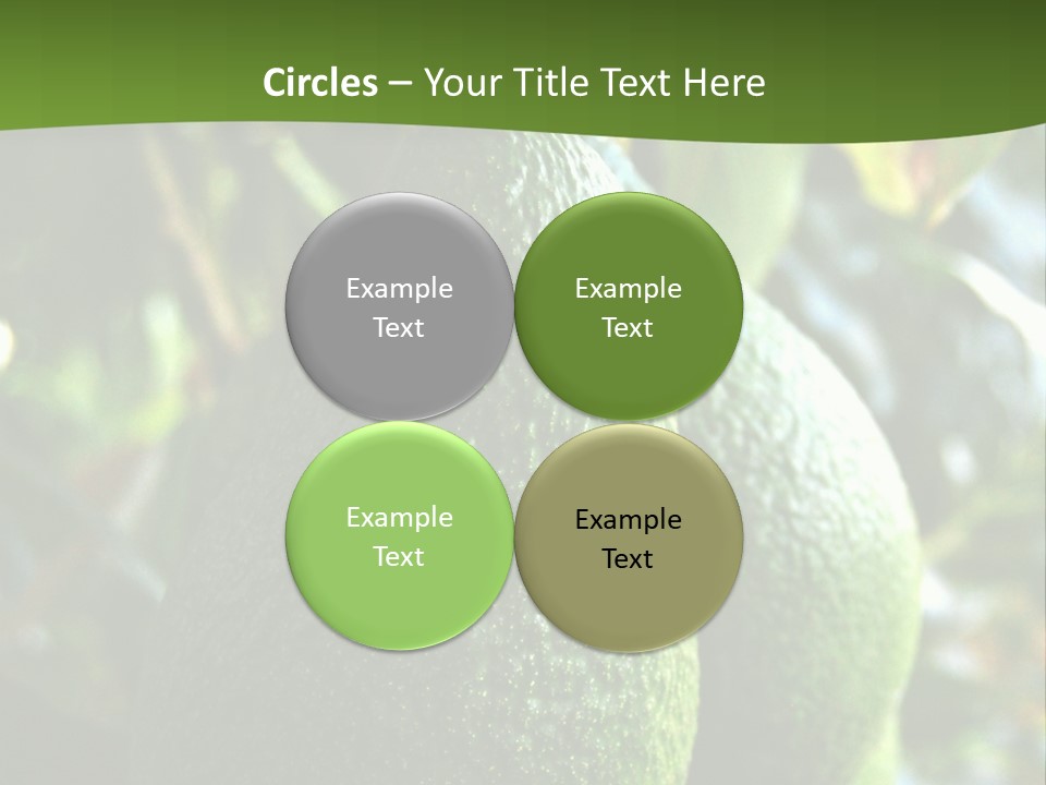 Vegetarian Diet Organic Green Alligator Pear PowerPoint Template