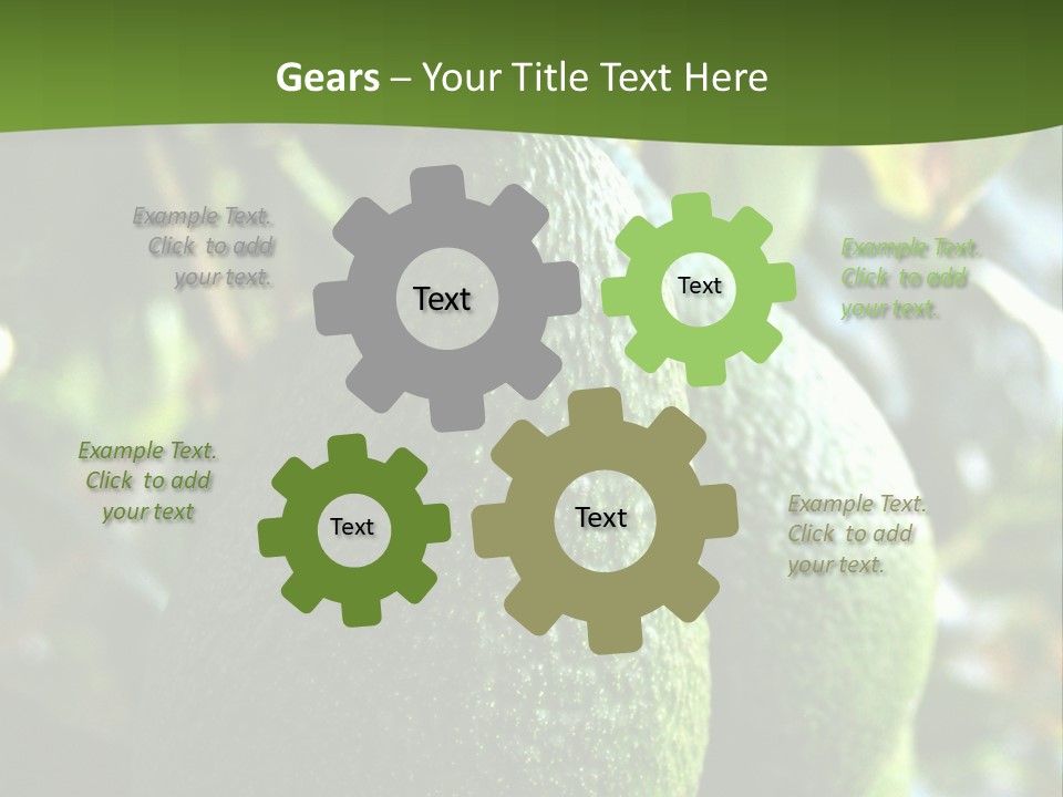 Vegetarian Diet Organic Green Alligator Pear PowerPoint Template