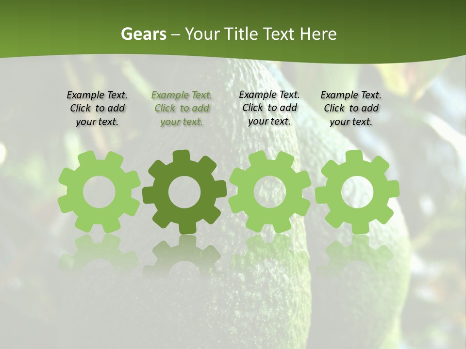 Vegetarian Diet Organic Green Alligator Pear PowerPoint Template