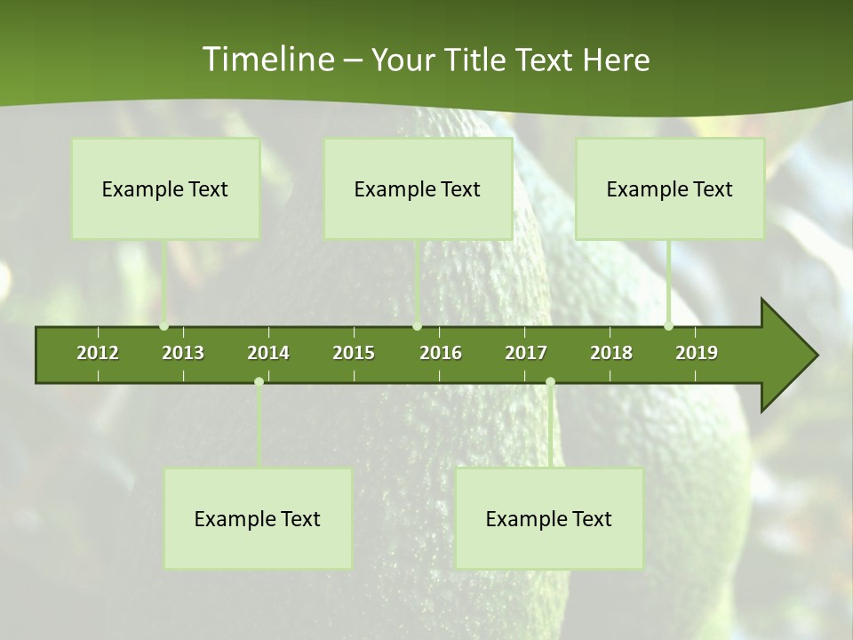 Vegetarian Diet Organic Green Alligator Pear PowerPoint Template