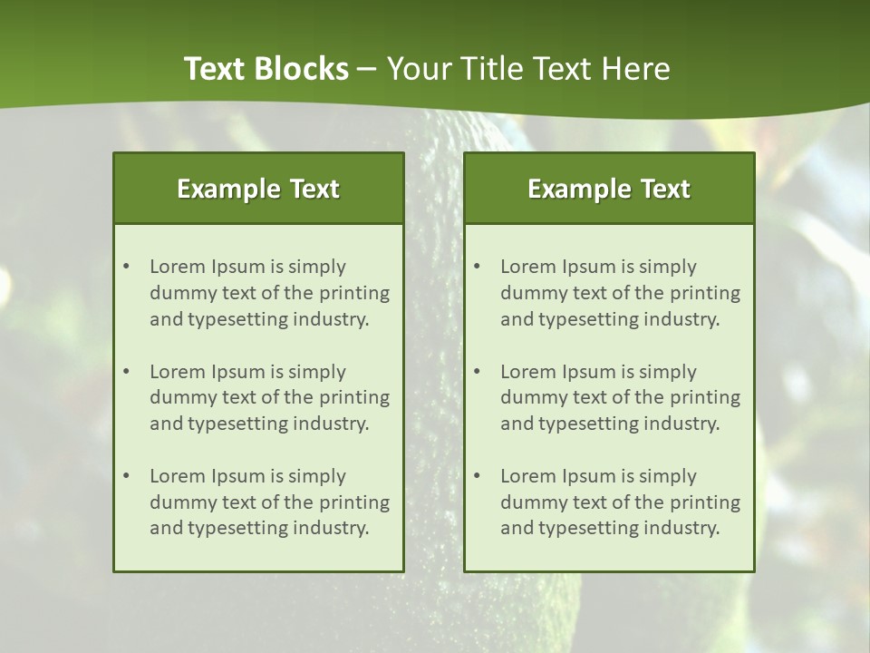 Vegetarian Diet Organic Green Alligator Pear PowerPoint Template