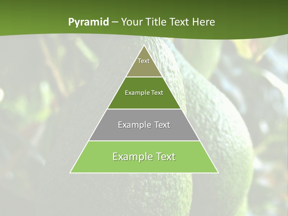 Vegetarian Diet Organic Green Alligator Pear PowerPoint Template