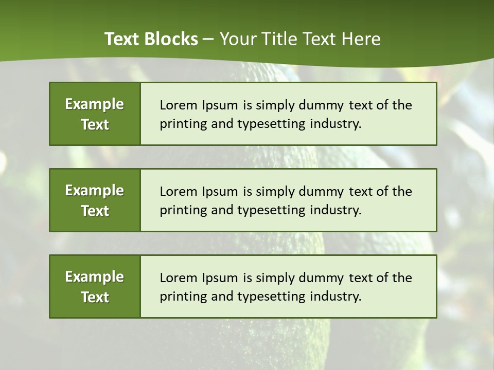 Vegetarian Diet Organic Green Alligator Pear PowerPoint Template
