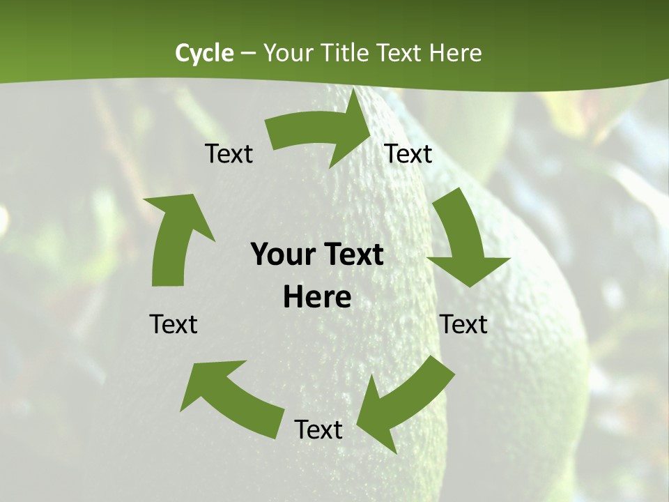 Vegetarian Diet Organic Green Alligator Pear PowerPoint Template