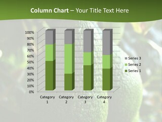 Vegetarian Diet Organic Green Alligator Pear PowerPoint Template