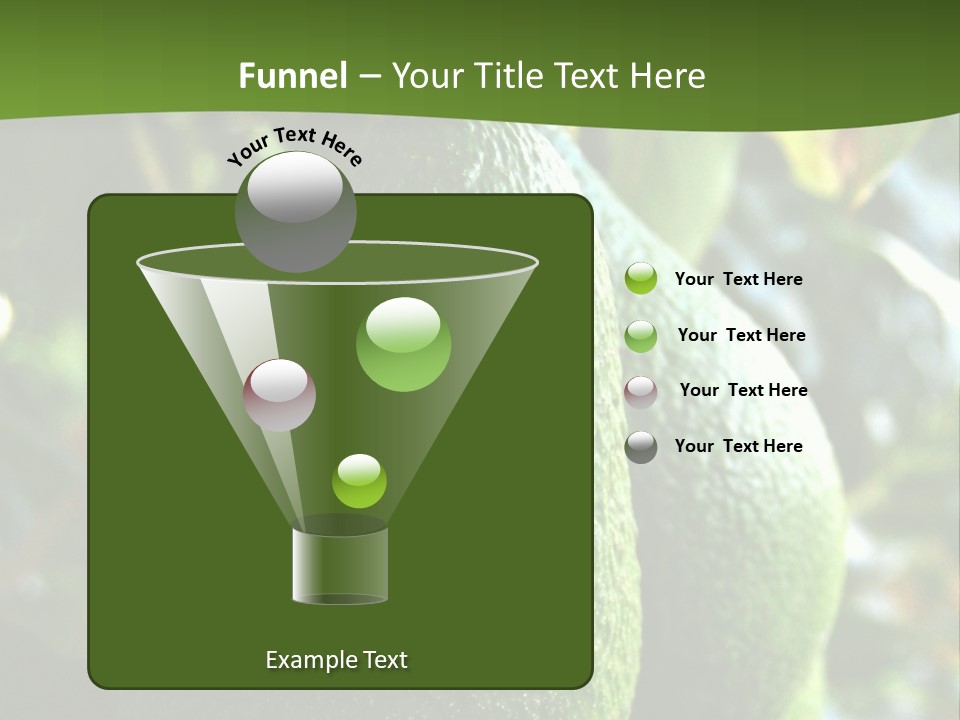 Vegetarian Diet Organic Green Alligator Pear PowerPoint Template