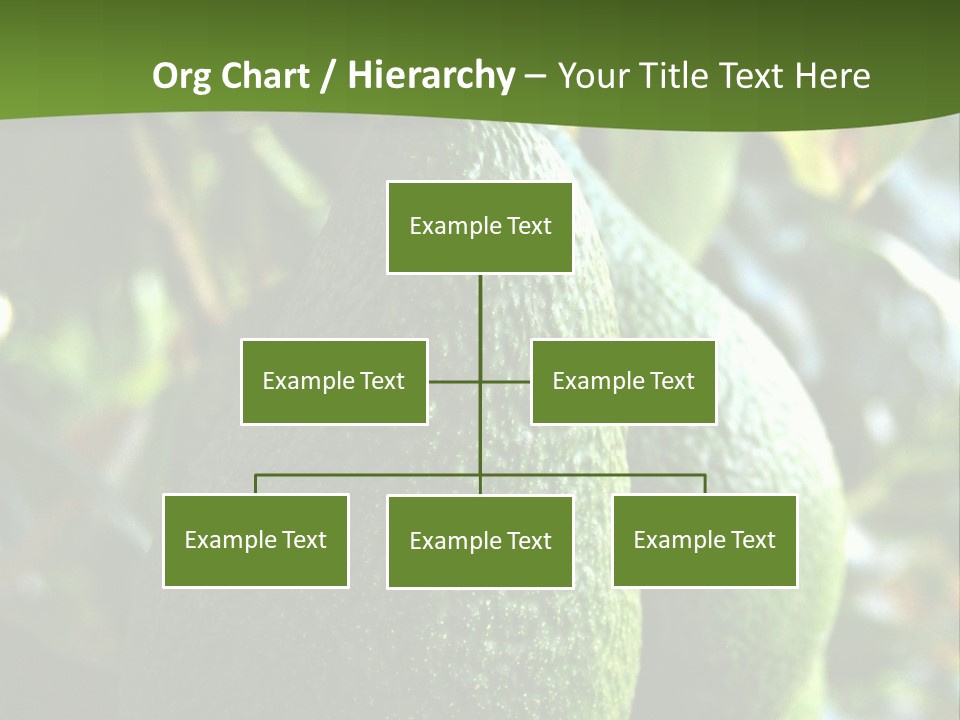 Vegetarian Diet Organic Green Alligator Pear PowerPoint Template