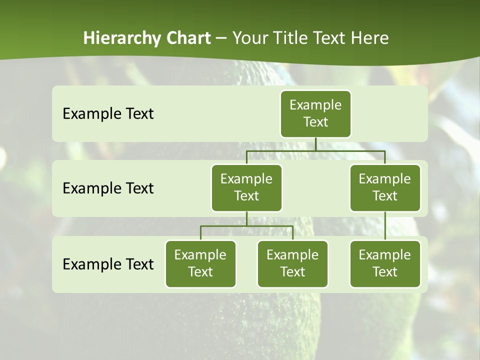 Vegetarian Diet Organic Green Alligator Pear PowerPoint Template