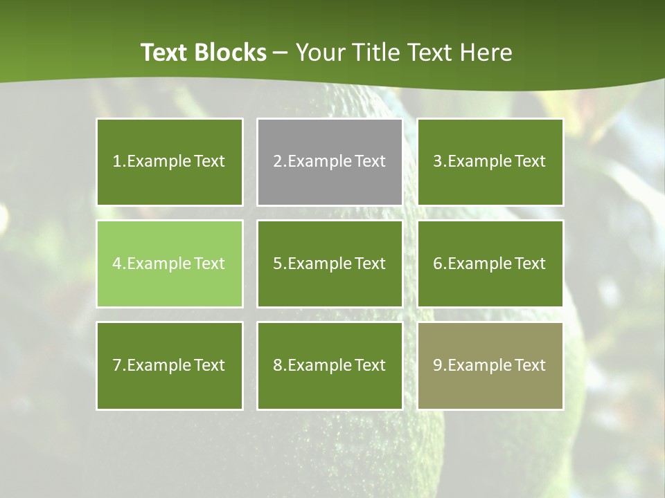 Vegetarian Diet Organic Green Alligator Pear PowerPoint Template