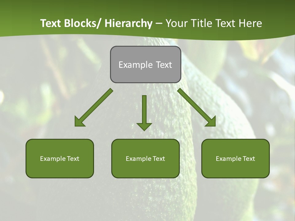 Vegetarian Diet Organic Green Alligator Pear PowerPoint Template