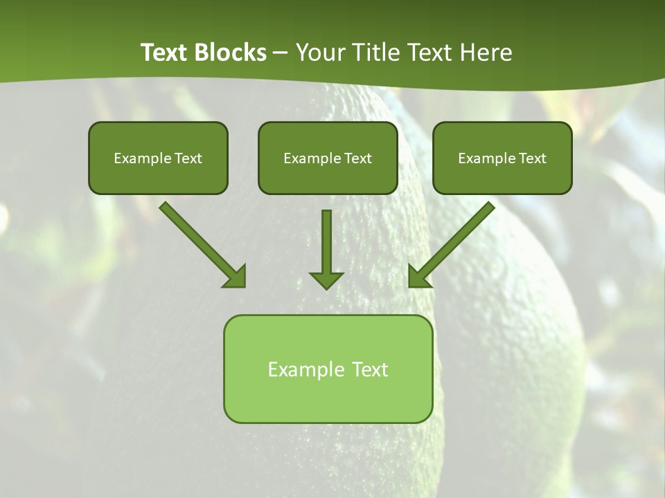 Vegetarian Diet Organic Green Alligator Pear PowerPoint Template