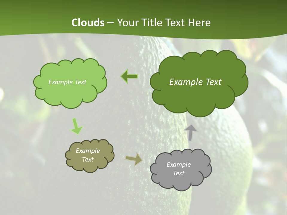 Vegetarian Diet Organic Green Alligator Pear PowerPoint Template