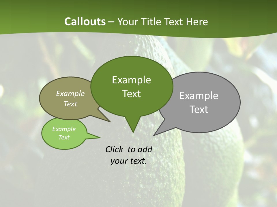 Vegetarian Diet Organic Green Alligator Pear PowerPoint Template