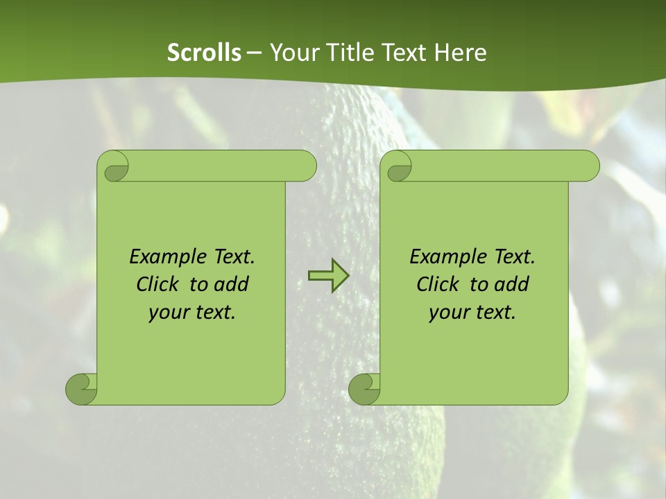 Vegetarian Diet Organic Green Alligator Pear PowerPoint Template