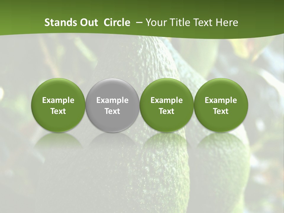 Vegetarian Diet Organic Green Alligator Pear PowerPoint Template