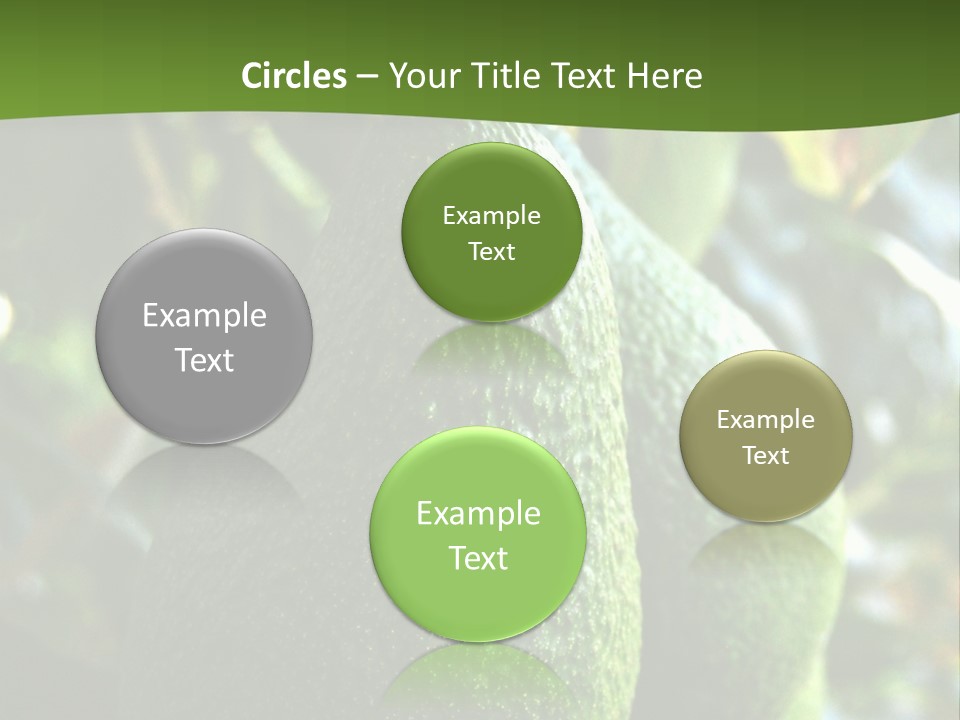 Vegetarian Diet Organic Green Alligator Pear PowerPoint Template