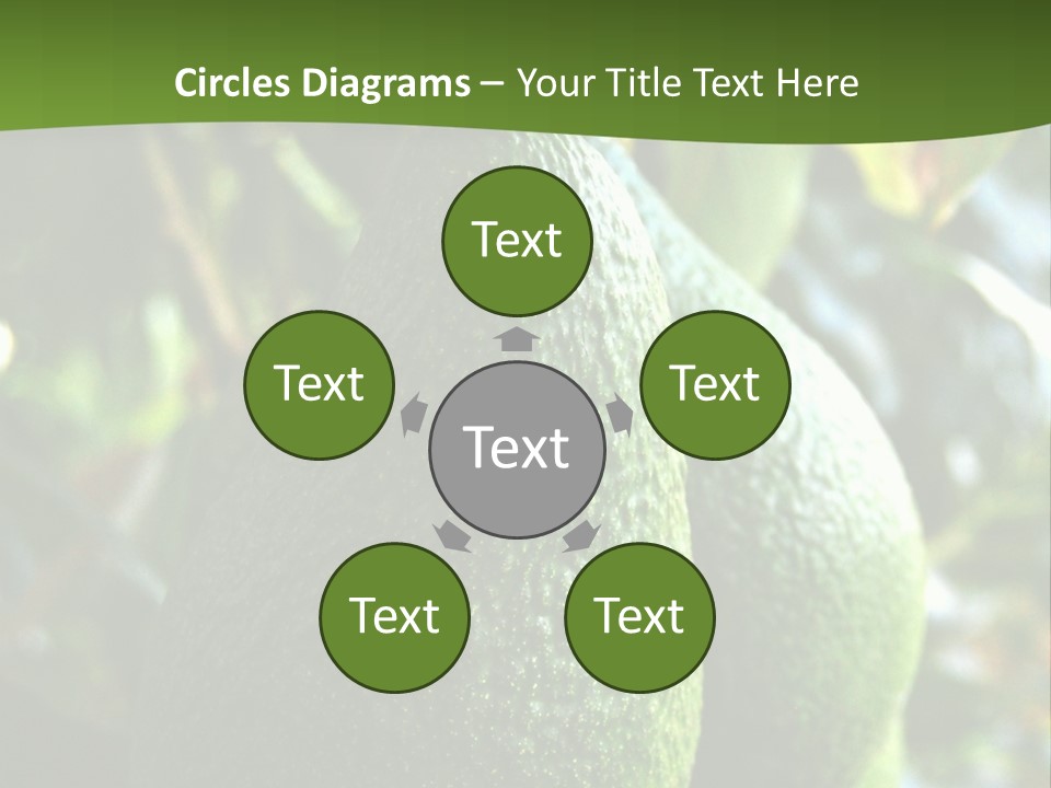 Vegetarian Diet Organic Green Alligator Pear PowerPoint Template
