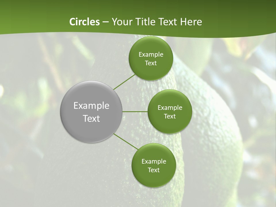 Vegetarian Diet Organic Green Alligator Pear PowerPoint Template
