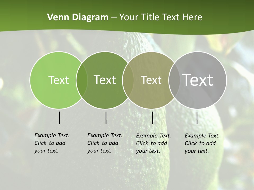 Vegetarian Diet Organic Green Alligator Pear PowerPoint Template