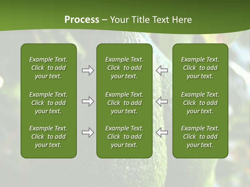 Vegetarian Diet Organic Green Alligator Pear PowerPoint Template