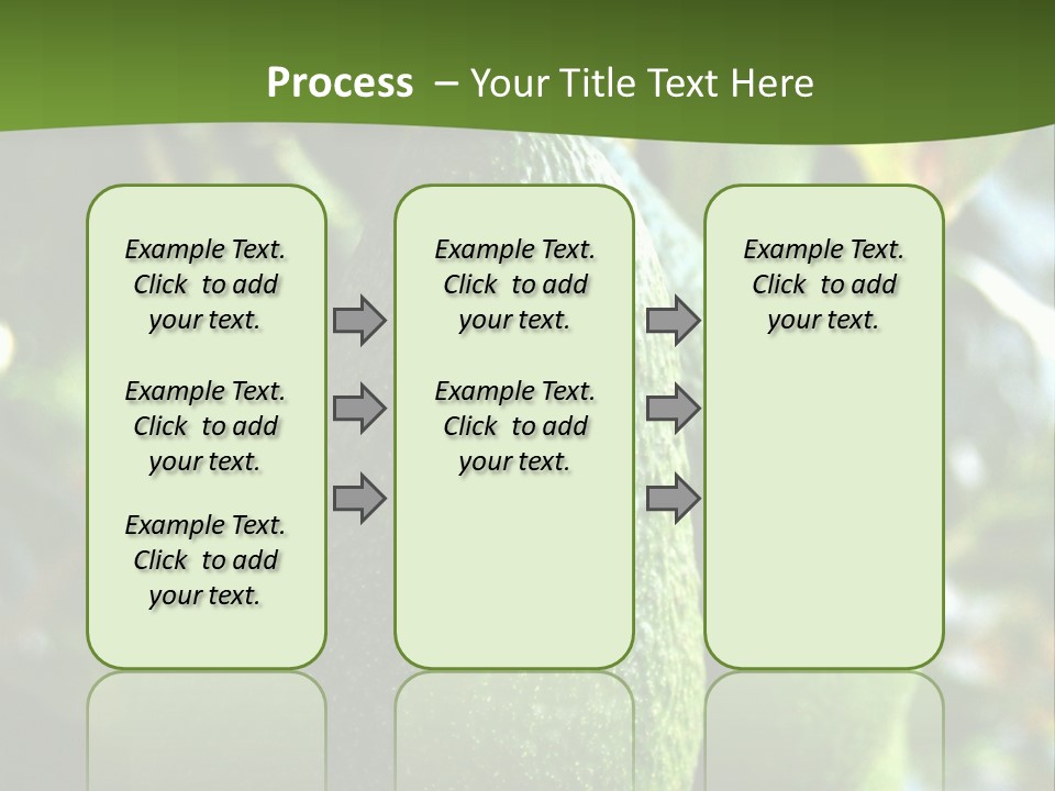 Vegetarian Diet Organic Green Alligator Pear PowerPoint Template