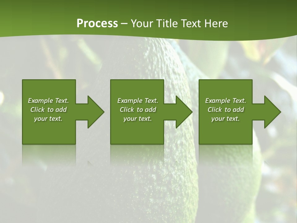Vegetarian Diet Organic Green Alligator Pear PowerPoint Template