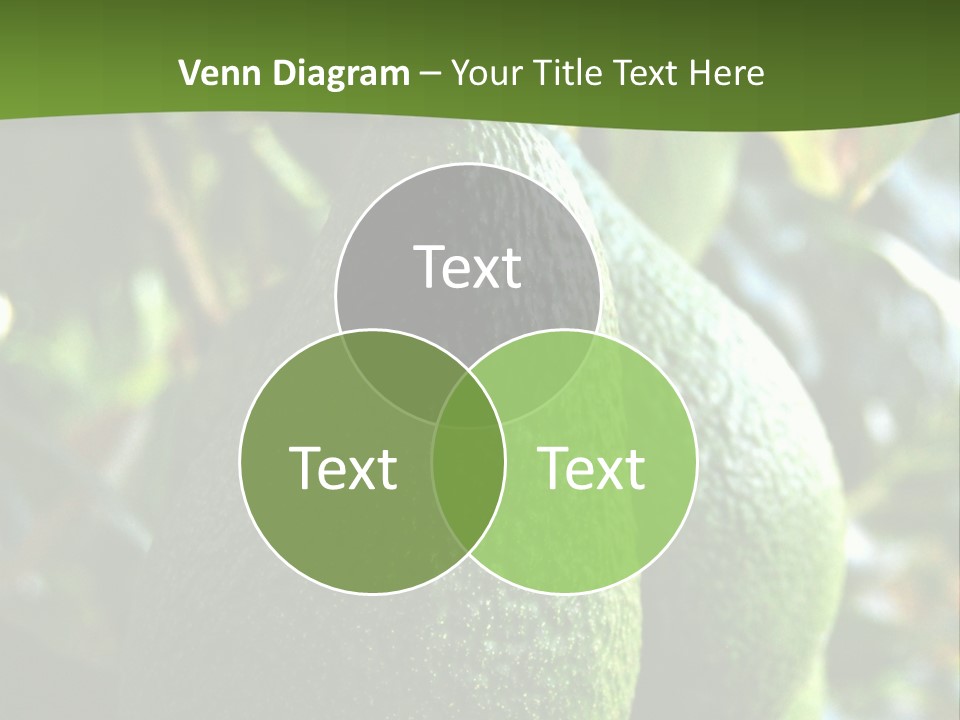Vegetarian Diet Organic Green Alligator Pear PowerPoint Template