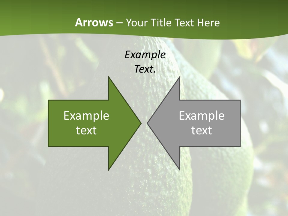 Vegetarian Diet Organic Green Alligator Pear PowerPoint Template