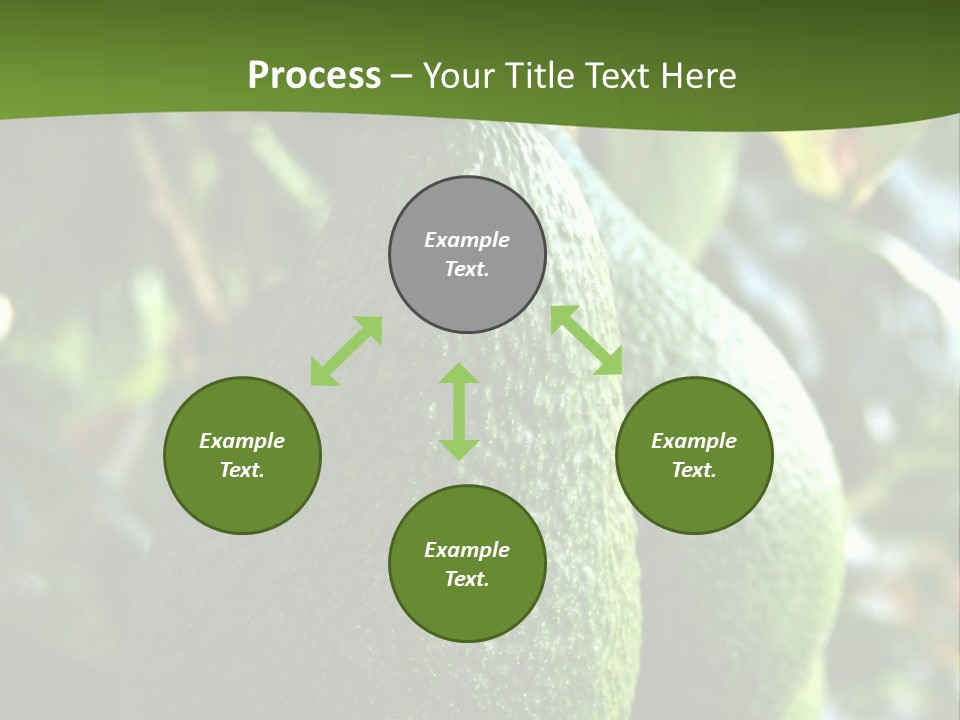 Vegetarian Diet Organic Green Alligator Pear PowerPoint Template