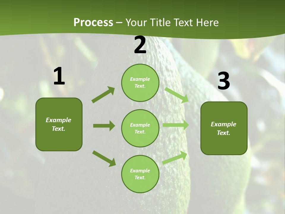 Vegetarian Diet Organic Green Alligator Pear PowerPoint Template