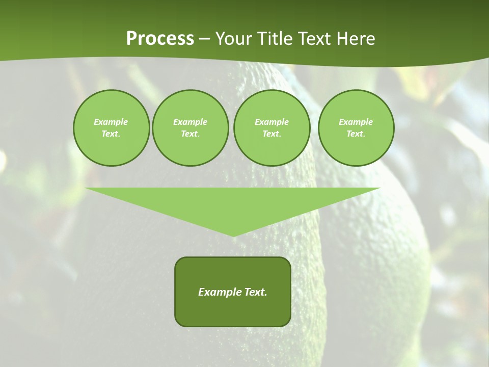 Vegetarian Diet Organic Green Alligator Pear PowerPoint Template
