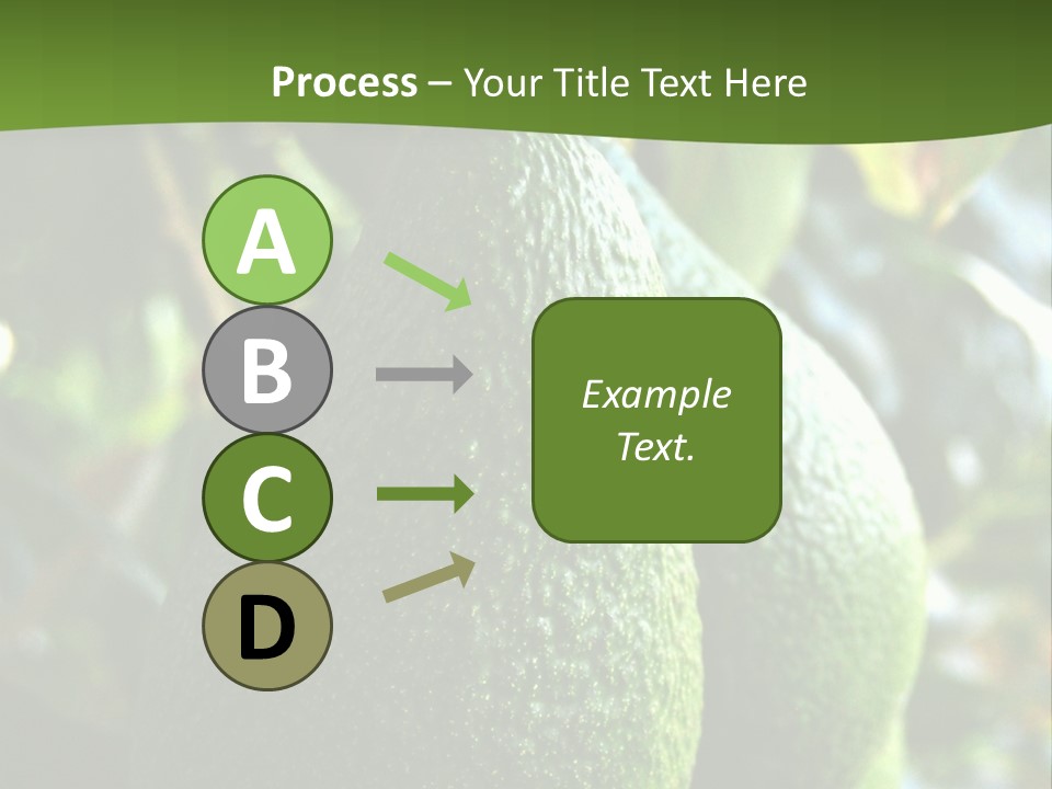 Vegetarian Diet Organic Green Alligator Pear PowerPoint Template