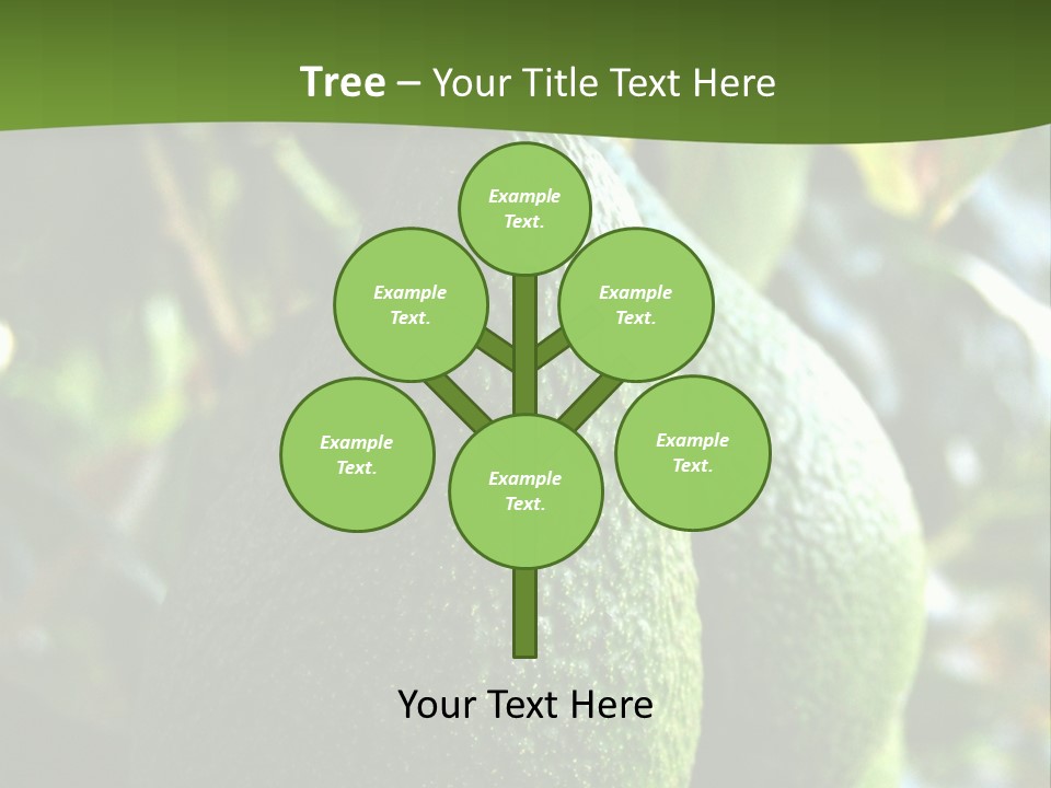 Vegetarian Diet Organic Green Alligator Pear PowerPoint Template
