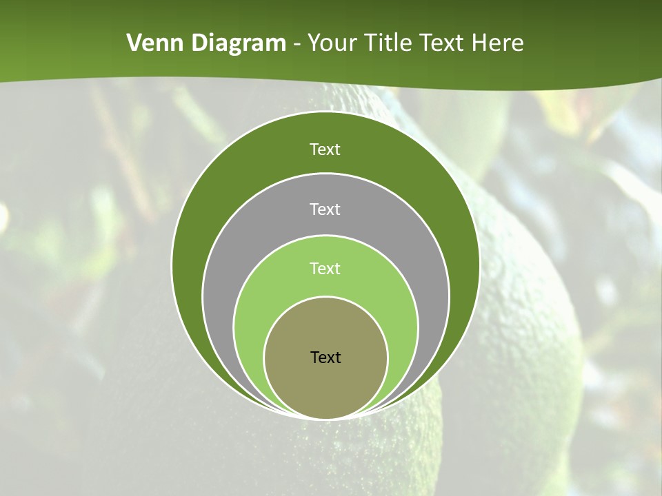 Vegetarian Diet Organic Green Alligator Pear PowerPoint Template