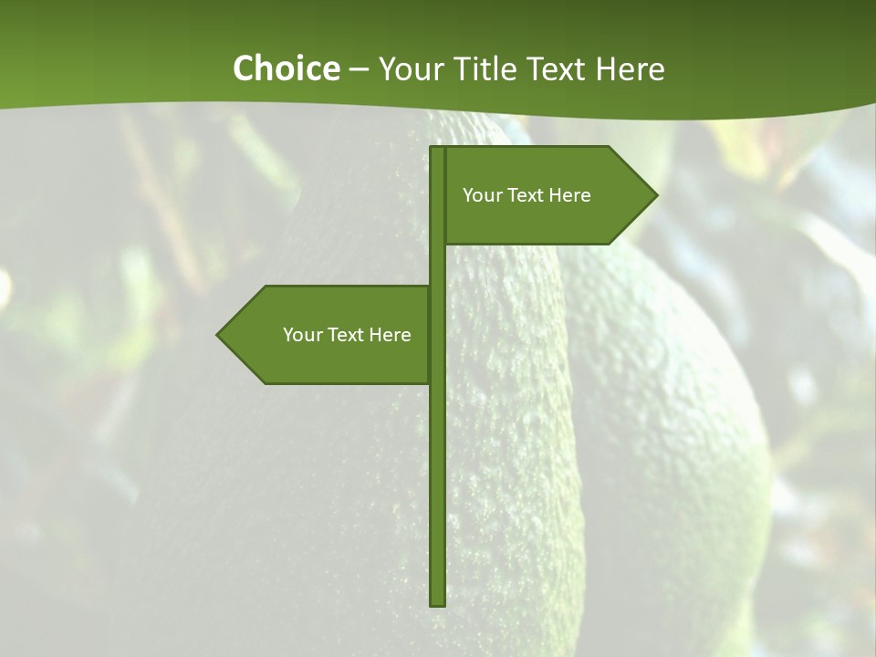 Vegetarian Diet Organic Green Alligator Pear PowerPoint Template