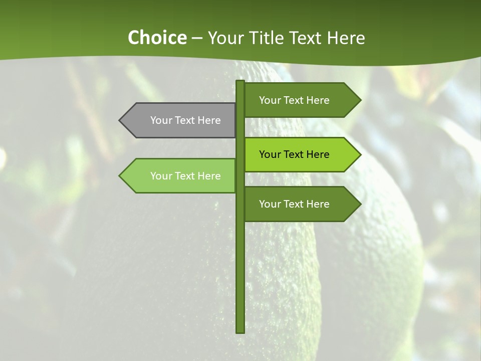 Vegetarian Diet Organic Green Alligator Pear PowerPoint Template