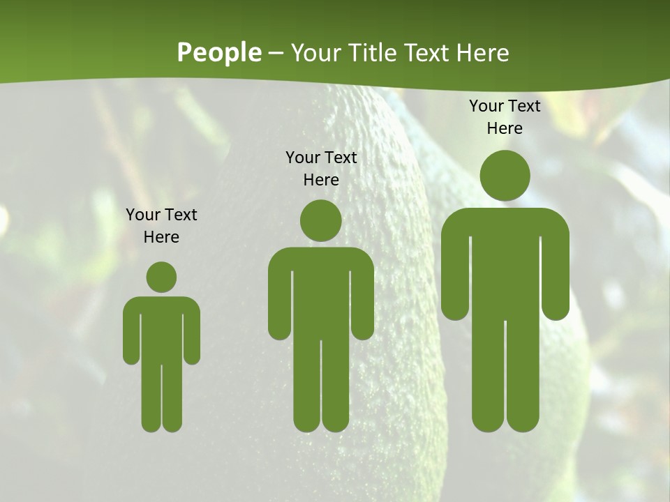 Vegetarian Diet Organic Green Alligator Pear PowerPoint Template