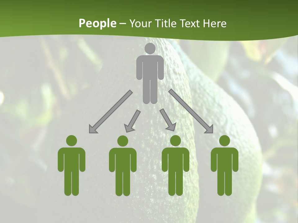 Vegetarian Diet Organic Green Alligator Pear PowerPoint Template