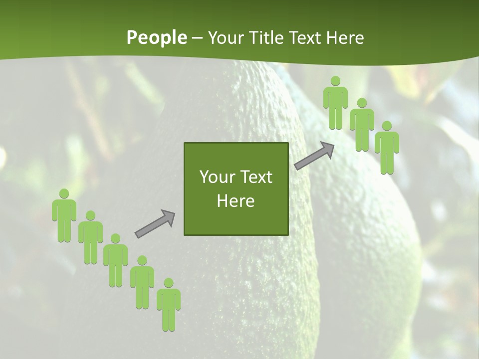 Vegetarian Diet Organic Green Alligator Pear PowerPoint Template