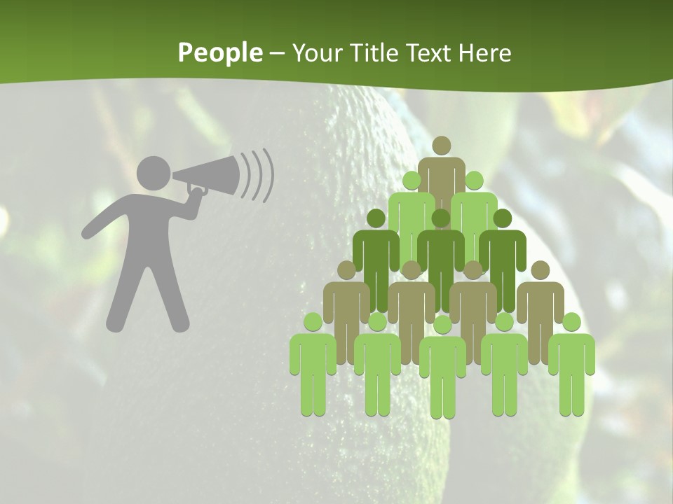 Vegetarian Diet Organic Green Alligator Pear PowerPoint Template