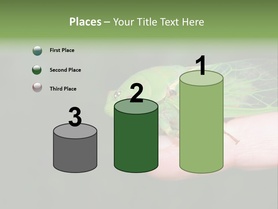 Specimen Closeup Detail PowerPoint Template